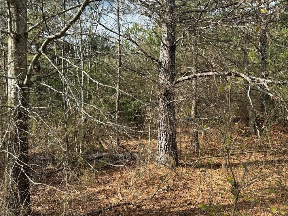 Photo of Mobile Home Lot