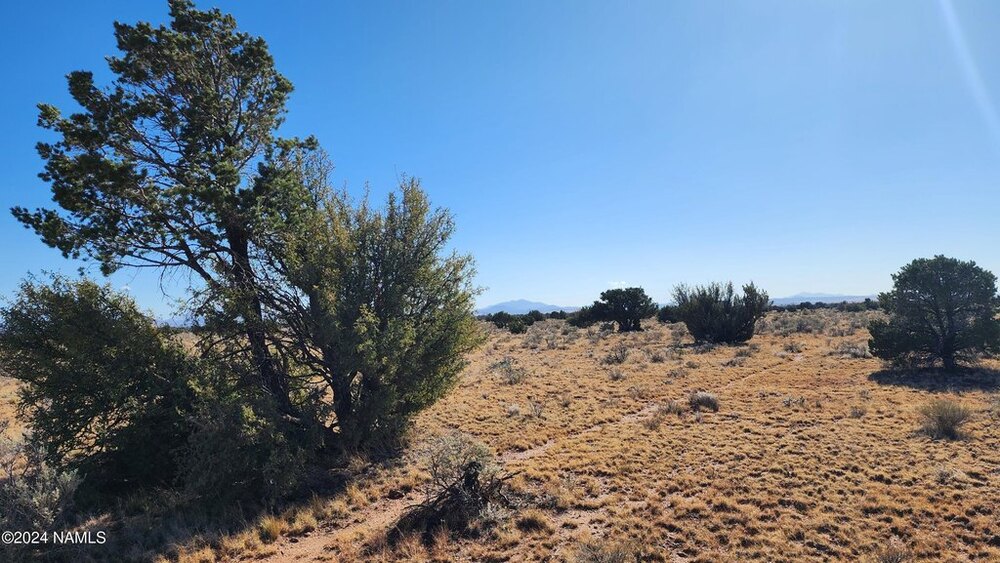 Photo of Mobile Home Lot