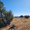 Photo of Mobile Home Lot