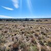 Photo of Mobile Home Lot