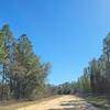 Mobile Home for Sale: 2000 Mobile Home