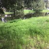 Mobile Home for Sale: 2 Bed 1 Bath 1975 Mobile Home