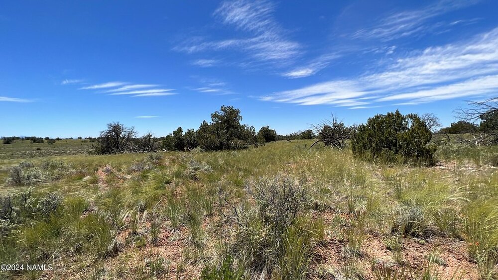Photo of Mobile Home Lot