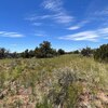 Photo of Mobile Home Lot