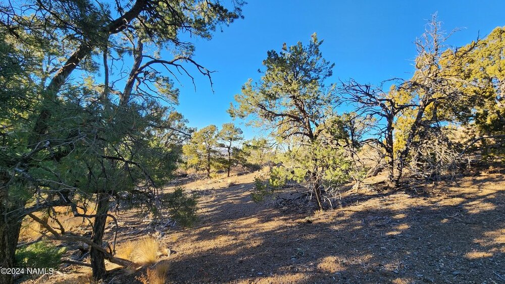 Photo of Mobile Home Lot