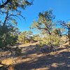 Photo of Mobile Home Lot