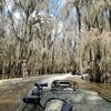 RV Park for Sale: BUZZARD BAY LANDING & RV PARK, Karnack, TX