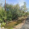 Mobile Home for Sale: 1900 Mobile Home