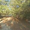 Mobile Home for Sale: 1996 Mobile Home