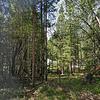 Mobile Home for Sale: 3 Bed 2 Bath 1997 Mobile Home
