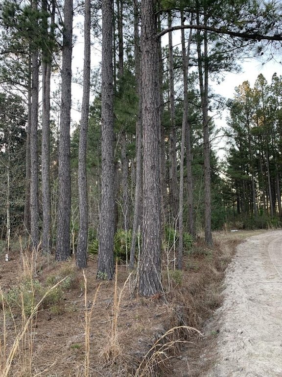 Photo of Mobile Home Lot