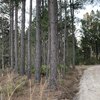 Mobile Home Lot for Sale: Vacant Lot,Restricted Lot,Land,Mobile Home Lot - Baxley, GA, Baxley, GA