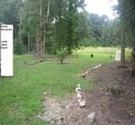 Photo of Mobile Home Lot