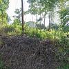Mobile Home for Sale: 3 Bed 2 Bath 2019 Mobile Home