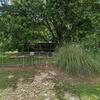 Mobile Home for Sale: 3 Bed 2 Bath 1979 Mobile Home