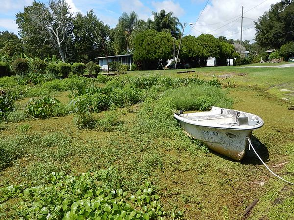 Photo of Mobile Home Park