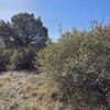 Photo of Mobile Home Lot