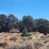 Photo of Mobile Home Lot