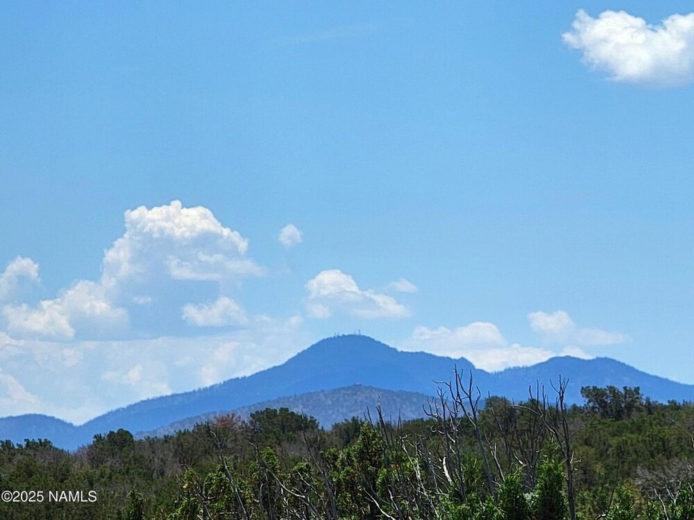 Photo of Mobile Home Lot