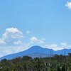 Photo of Mobile Home Lot