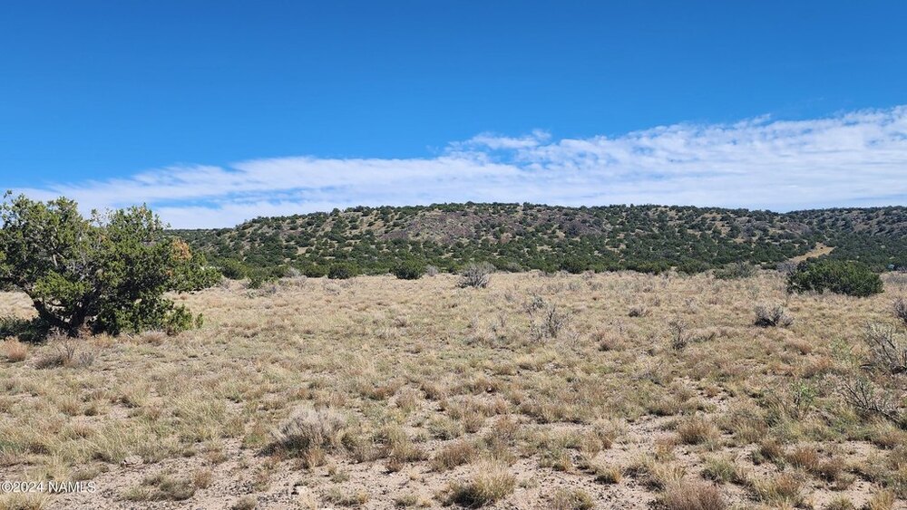 Photo of Mobile Home Lot