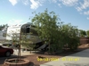 Photo of Rv Lot Shade Trees
