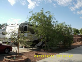 Photo of Rv Lot Shade Trees
