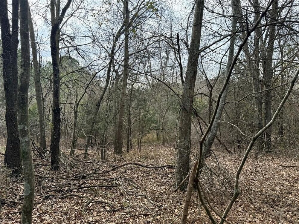 Photo of Mobile Home Lot