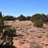Photo of Mobile Home Lot