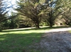 RV Park for Sale: WILDWOOD CAMPGROUND, Fort Bragg, CA
