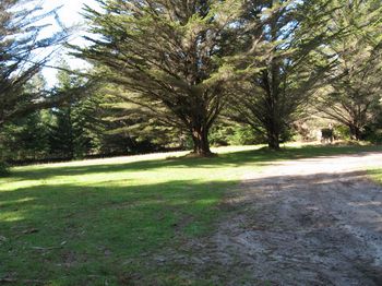 Meadow- future developement area