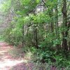 Photo of Mobile Home Lot