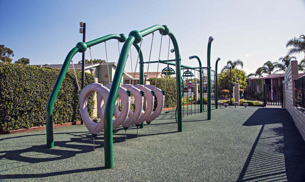 Community Image