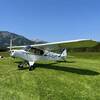 Aircraft for Sale: 1952 Piper PA-19 Super Cub
