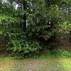 Mobile Home for Sale: 2000 Mobile Home