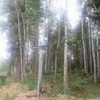 Mobile Home Lot for Sale: 0.76 acre Lot