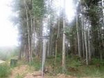Photo of Mobile Home Lot