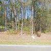 Mobile Home for Sale: 3 Bed 2 Bath 2006 Mobile Home
