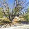 Mobile Home for Sale: 3 Bed 2 Bath 1997 Mobile Home
