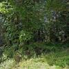 Mobile Home for Sale: 2 Bed 1 Bath 1998 Mobile Home